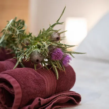 Rural Ca La Rumbeta En Apartmán