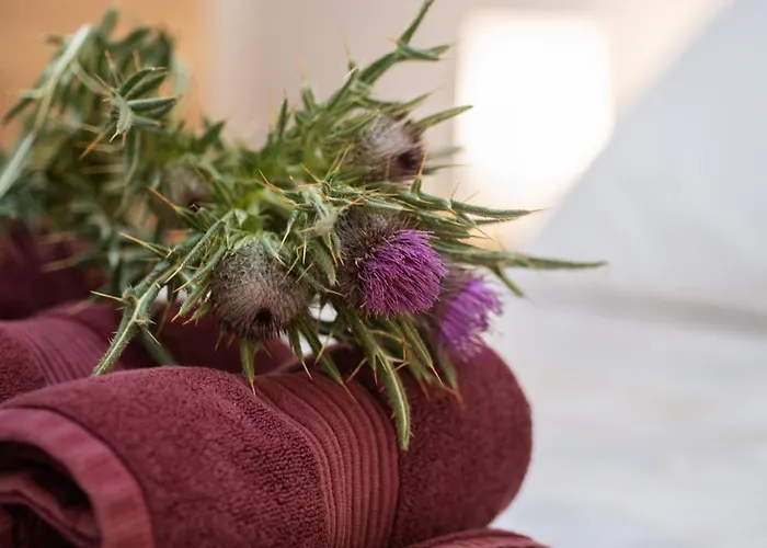 Rural Ca La Rumbeta En Daire