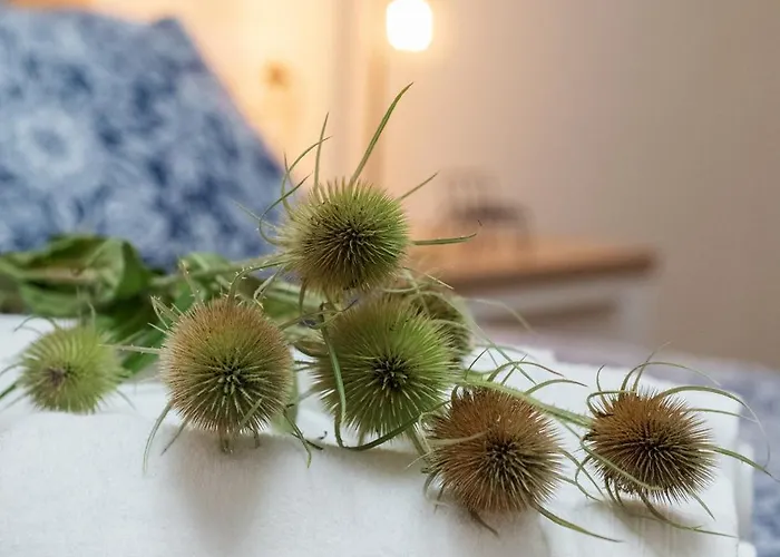 Daire Rural Ca La Rumbeta En La Fresneda